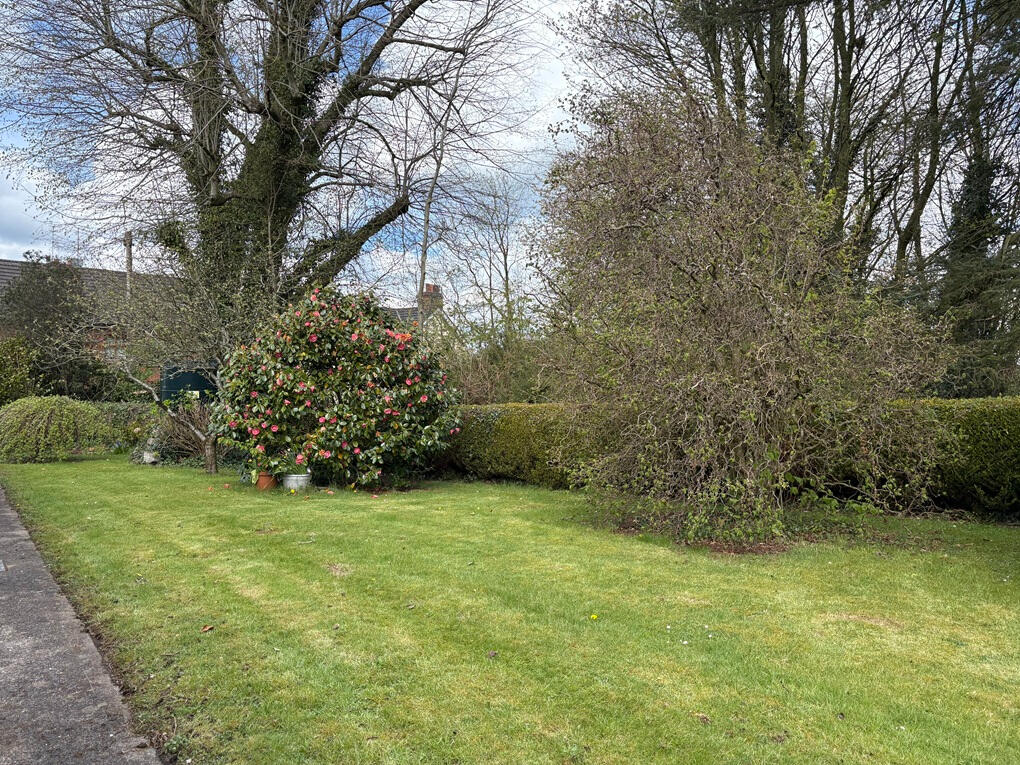 Back Garden in Spring